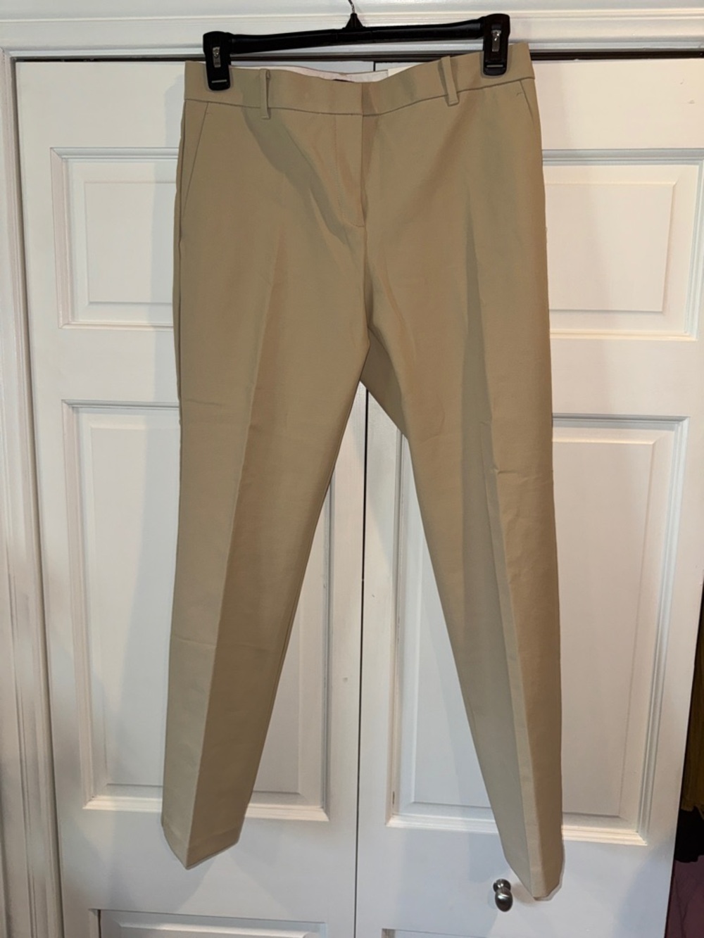 Ann Taylor Women's Beige Tailored Dress Pants